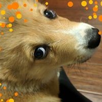 Profile Picture of Valerie Guralny (@valerie-guralny) on Quora