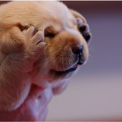 Mike Hire - Twitter Profile Picture of Mike Hire (@GassyNovey) on Twitter