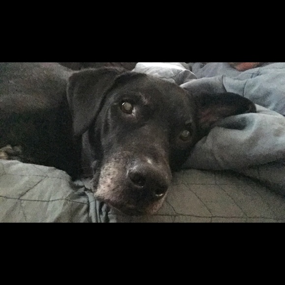 Profile Picture of Amanda Allison (@amanda_bowman88) on Poshmark