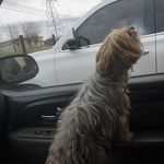 Profile Picture of Joe Thigpen (@muertenoir1) on Instagram