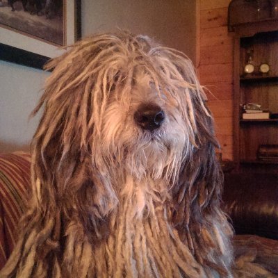 Profile Picture of Charles Brucculeri (@ChuckBrucculeri) on Twitter