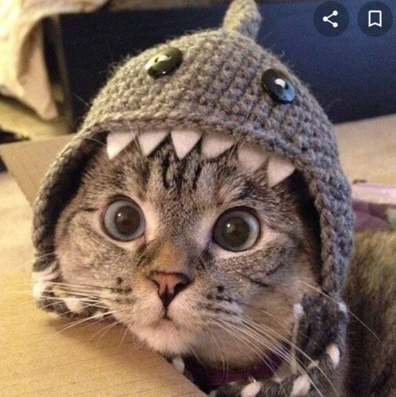 Profile Picture of Ivanabdiel Paneque (@eluniikoh) on Poshmark