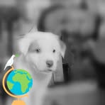 Profile Picture of Adam Placer (@Adam-Placer) on Facebook