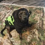 Profile Picture of Franklin McGee (@franklin.mcgee.5268) on Facebook