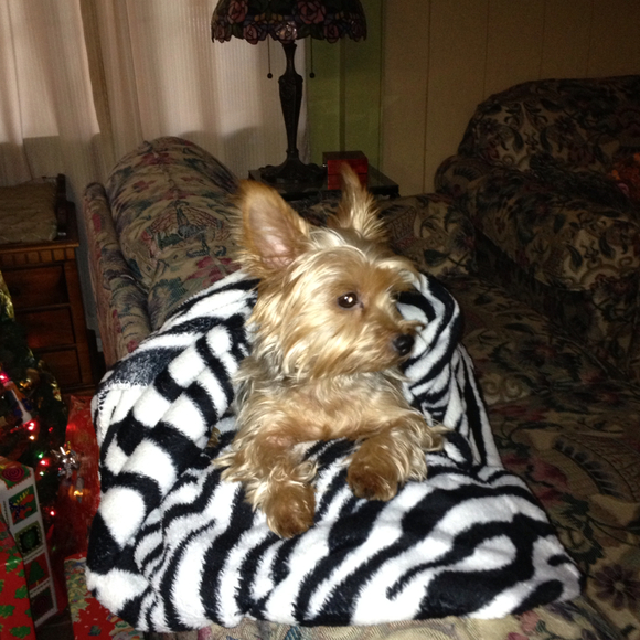 Profile Picture of Jackie Veillon (@jackiev) on Poshmark