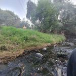 Profile Picture of Nathan Burman (@naynaybae) on Instagram