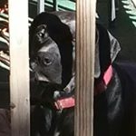 Profile Picture of Bob Jason sandy (@bobjasonsandy) on Instagram