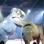 Profile Picture of Matthew Greenlee (@matthew_greenlee_139) on Instagram