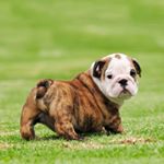 Profile Picture of Kimrolin (@kimrolin6835) on Instagram