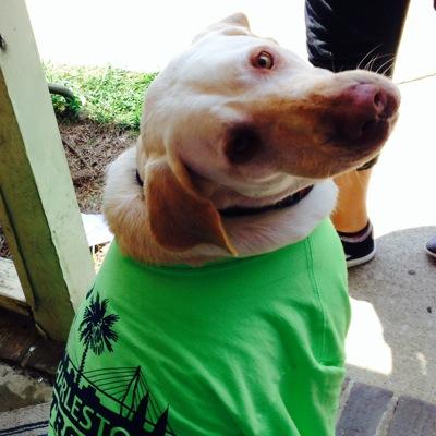 Profile Picture of Kacey Vanderbilt Jon (@8_vanderbilt) on Twitter