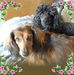 Profile Picture of Paula Starcher (@paula.starcher.77) on Facebook