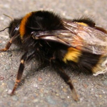 Profile Picture of Clive  T Lee (@t_clive) on Twitter