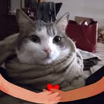 Profile Picture of Daniela Cossu (@daniela.cossu.56) on Facebook