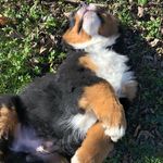 Profile Picture of Thor&Masha (@thor_masha) on Instagram