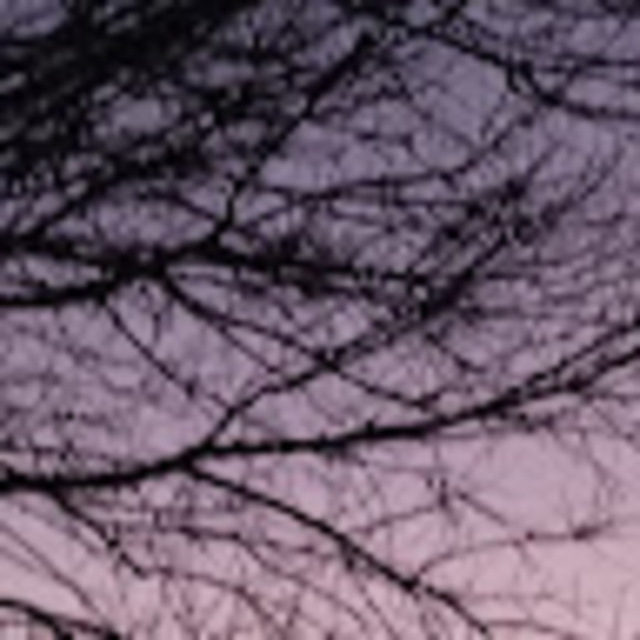 Profile Picture of Chloe Fowler (@fchloe951) on Poshmark