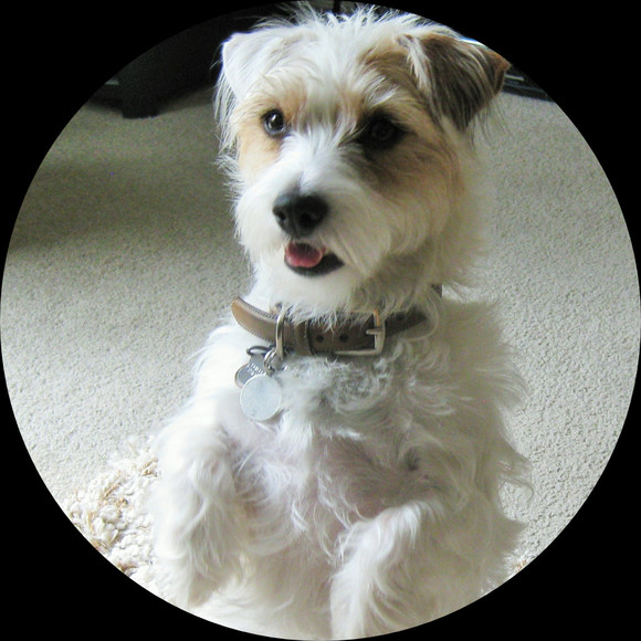 Profile Picture of Julie Tyger (@jtyger) on Poshmark