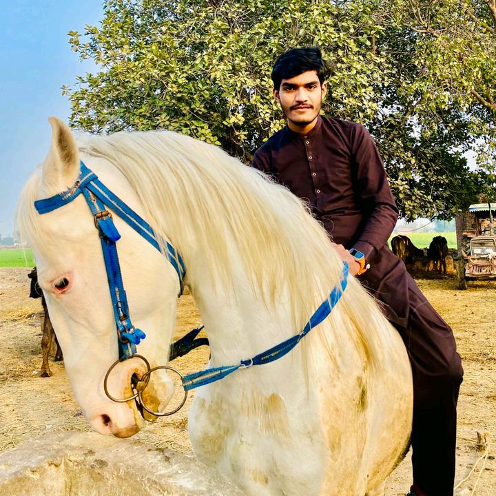 Profile Picture of Qasim Bajwa 😎 (@qasim.bajwa18) on Tiktok