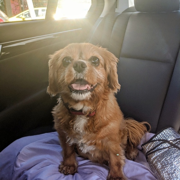 Profile Picture of Anastasia Causton (@anna_c0601) on Poshmark