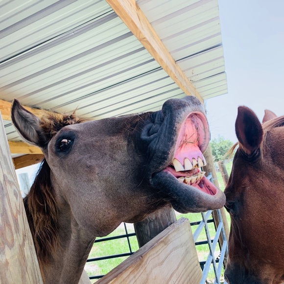 Profile Picture of Reagan Lightsey (@ray012405) on Poshmark