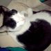 Profile Picture of Mindy Laster (@mindy.laster.1) on Facebook