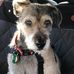 Profile Picture of Marsha Brandt (@marsha.brandt.3) on Facebook
