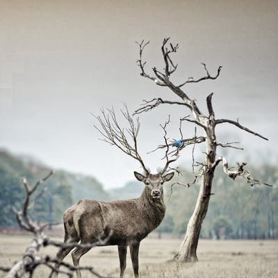 Tod Abne - Tiktok Profile Picture of Tod Abne (@jacindathornborro029) on Tiktok