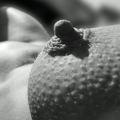 Montgomery Glenns - Twitter Profile Picture of Montgomery Glenns (@GraemeW30427006) on Twitter