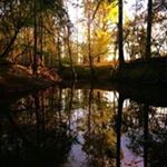 Dylan Prather - Instagram Profile Picture of Dylan Prather (@prather.dylan) on Instagram