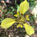Profile Picture of Bobbie Swafford (@bobbie.swafford.5) on Facebook