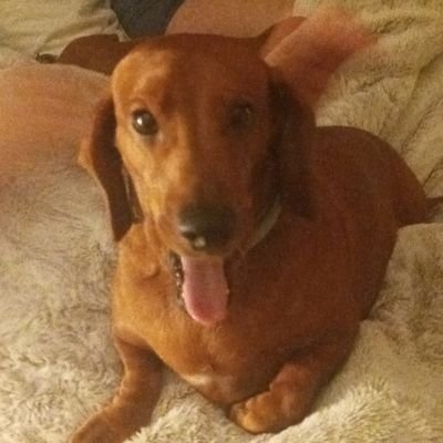 Profile Picture of James Mitchiner (@JamesMitchiner1) on Twitter