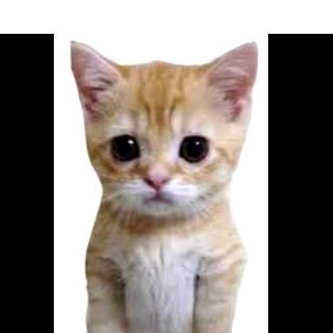 Profile Picture of Jiun ping Yuan (@jiunpingyuan) on Tiktok