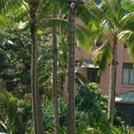 Profile Picture of Taro  Ikeda (@ikeda_taro) on Instagram