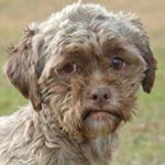 Profile Picture of Keith Thorn (@keiththorn1) on Instagram