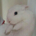 Profile Picture of Fernando Iglesias (@fernando_iglesias_hurtado) on Instagram