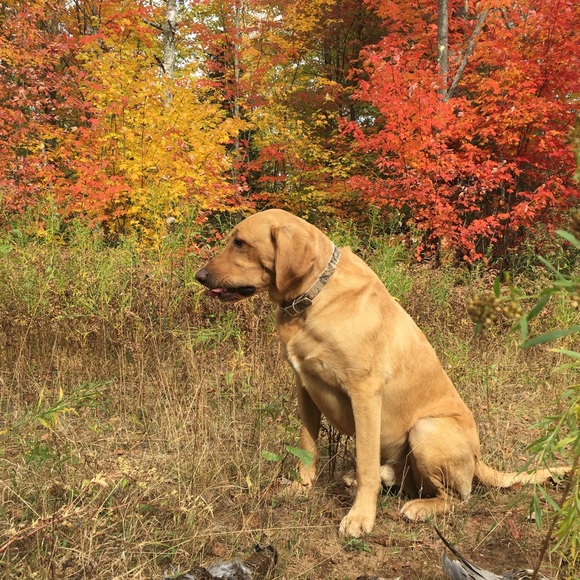 Profile Picture of Justin Jackman (@justinjackman27) on Poshmark