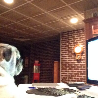 Profile Picture of Bryan Barbee (@BryanBarbee) on Twitter