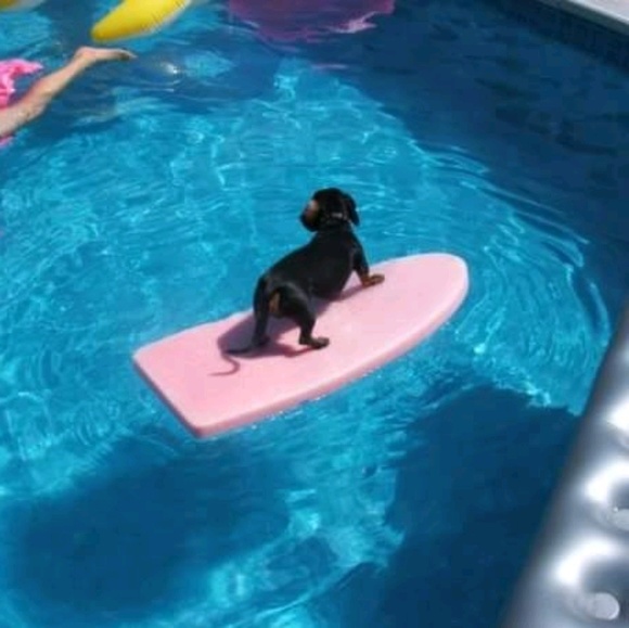 Profile Picture of Paula Bossert (@pbossert) on Poshmark