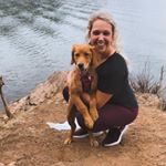 Profile Picture of Katherine & Winnie Bear ✨ (@katherine_pittman) on Instagram