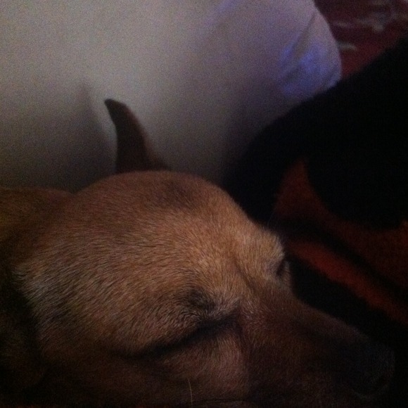 Profile Picture of Linda Logue (@ladyluck96r) on Poshmark