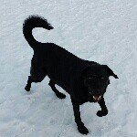 Profile Picture of Erik Johnson (@erik_sven_johnson) on Instagram