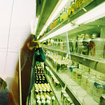 Profile Picture of 陳c (@c chan / photographer) on Flickr