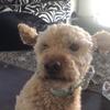 Profile Picture of Charlie Reid (@@charlie.reidd) on Tiktok