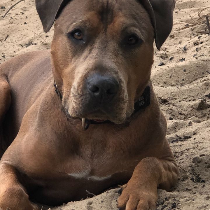 Profile Picture of Cory Spencer (@spencercory7169) on Tiktok