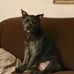 Profile Picture of James R Ludden (@jamesr.ludden.3) on Facebook