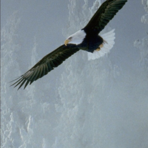 Profile Picture of Jake Debevec (@debevecj) on Poshmark