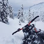 Profile Picture of David Duchesne (@david12duchesne) on Instagram