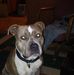 Profile Picture of Joshua Keebler (@joshua.keebler.58) on Facebook