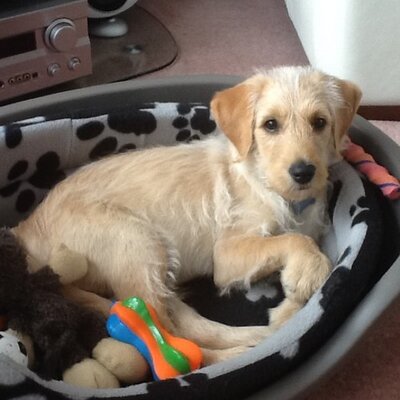 Profile Picture of Janet Ryder (@JanetRyder2) on Twitter