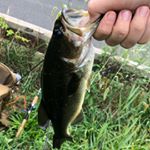 Profile Picture of Tyler (@tylerzajac_06) on Instagram