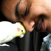 Profile Picture of Ayush Singh (@Withayushsingh) on Youtube